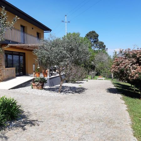 Quinta Do Senhor Villa Braga Exterior photo